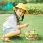 Versatile Observation Box - Image 10